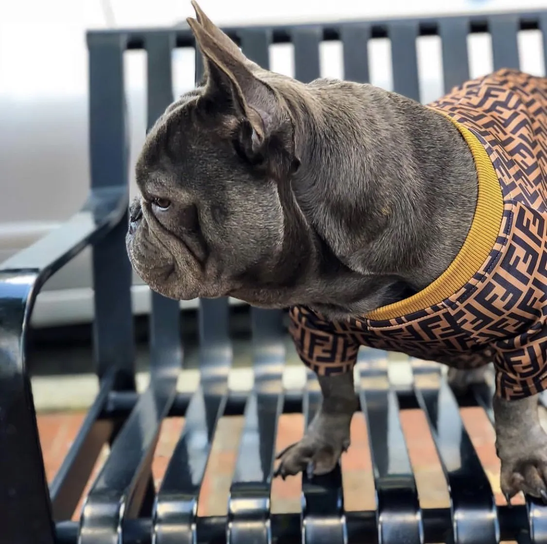 Pendi Classic Logo  Sweater