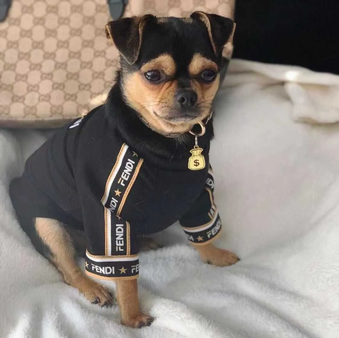 Pendi Tape Sweater